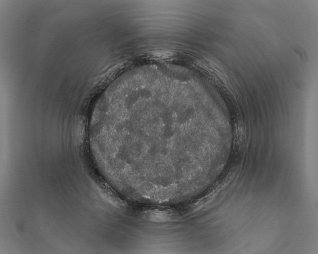 X0000111580412200908131323