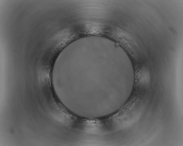 X0000111580415200908131323