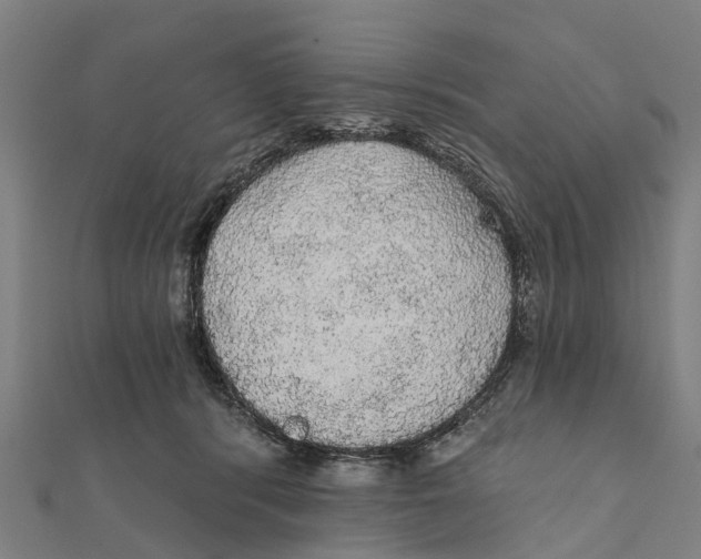 X0000111580416200908131323