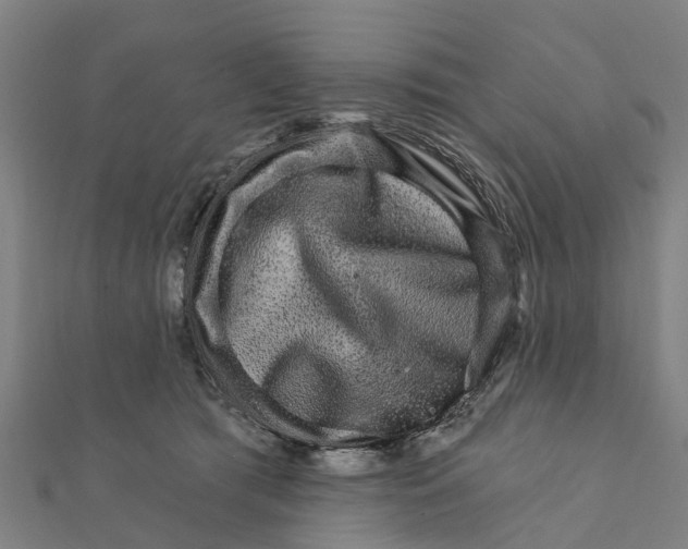 X0000111580417200908131323