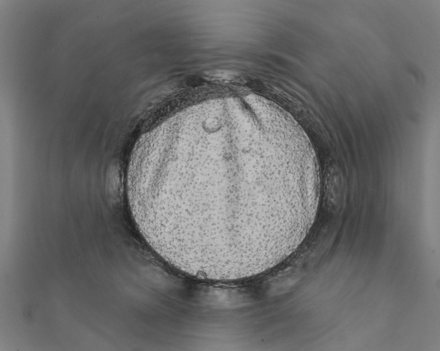 X0000111580420200908131323