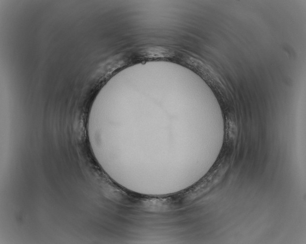 X0000111580422200908131323