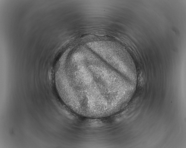 X0000111580424200908131323