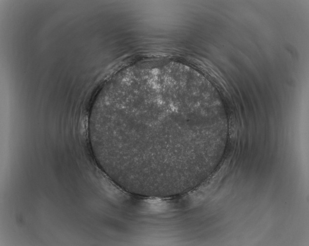 X0000111580425200908131323