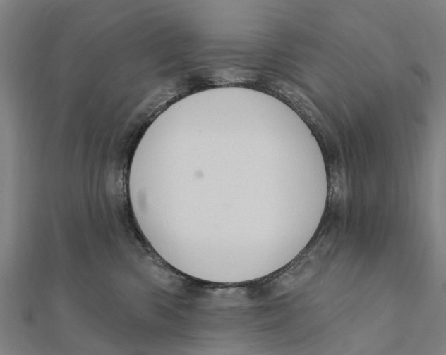 X0000111580426200908131323