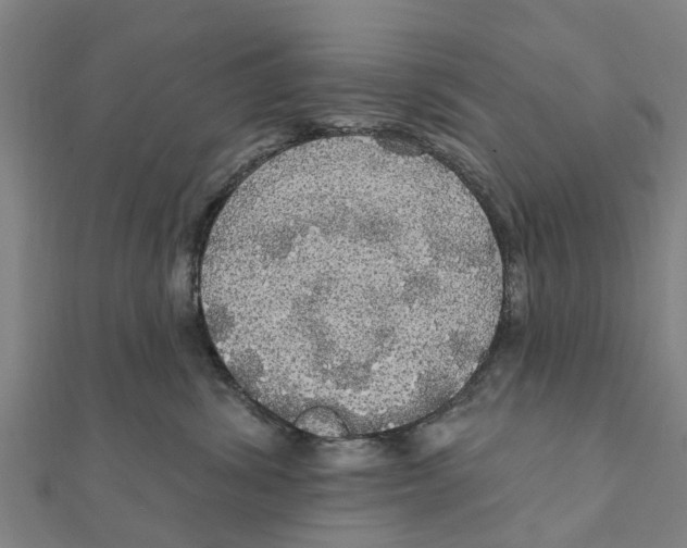 X0000111580428200908131323