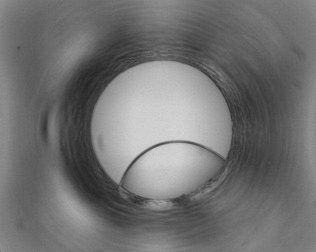 X0000111580429200908131323