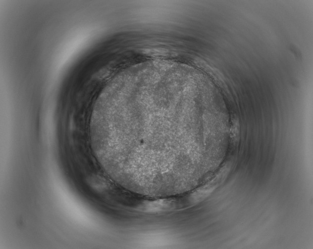 X0000111580430200908131323