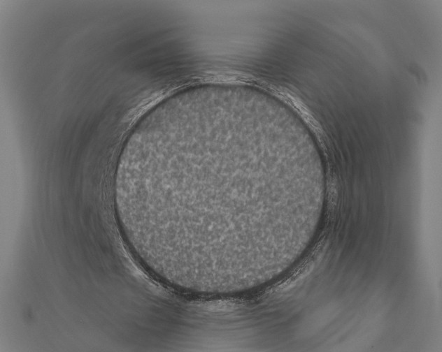 X0000111580433200908131322