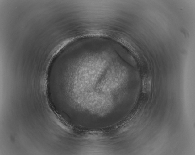 X0000111580436200908131322