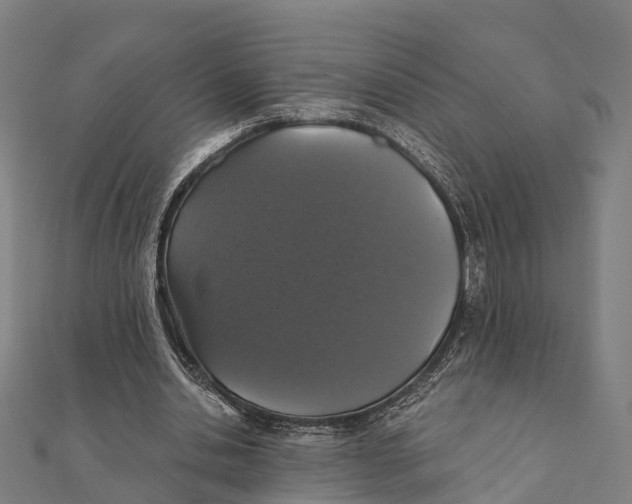 X0000111580438200908131322