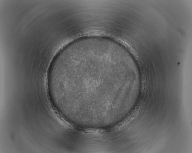 X0000111580439200908131322