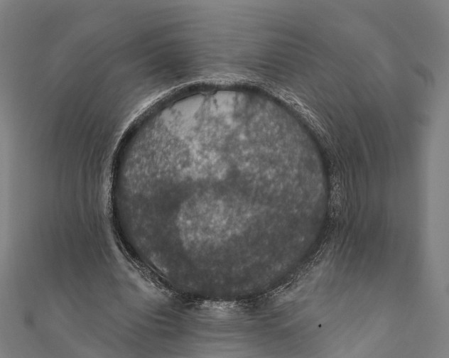 X0000111580440200908131322