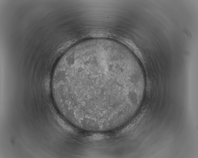 X0000111580441200908131322