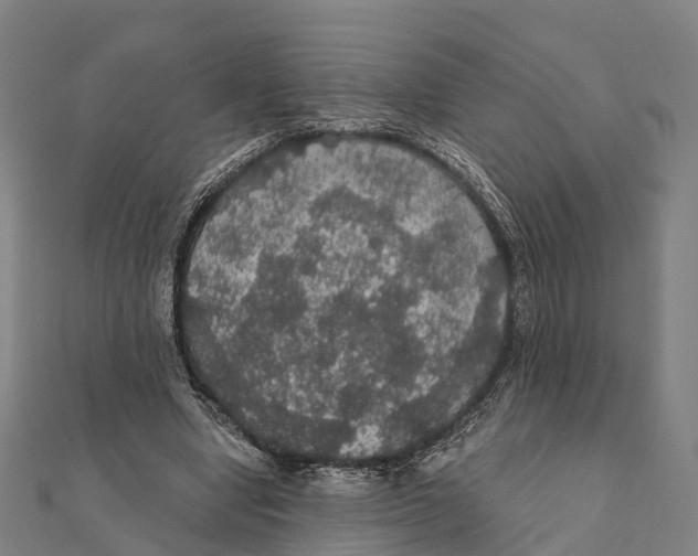 X0000111580442200908131322