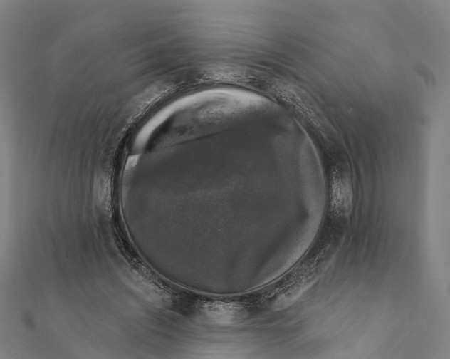 X0000111580444200908131322