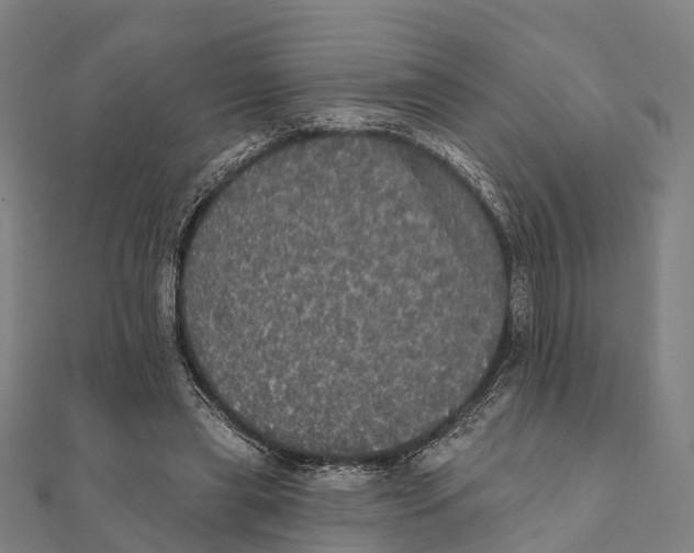 X0000111580445200908131322