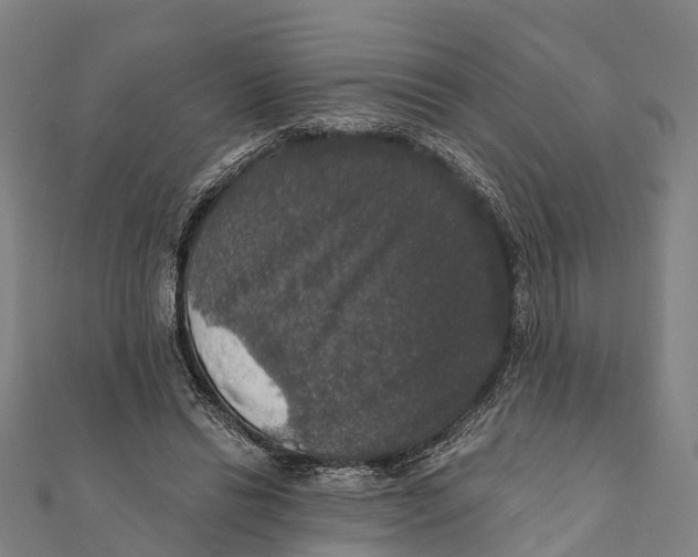 X0000111580446200908131322