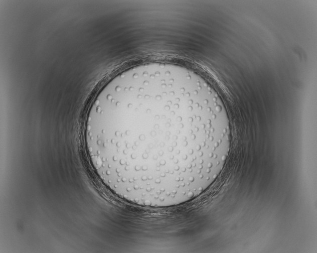 X0000111580447200908131322