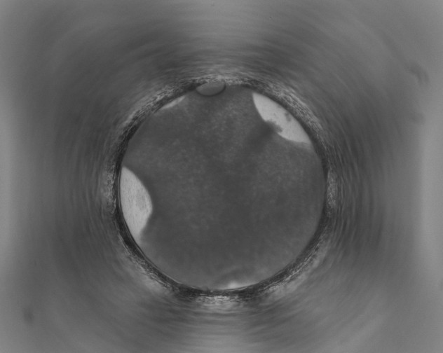 X0000111580449200908131322