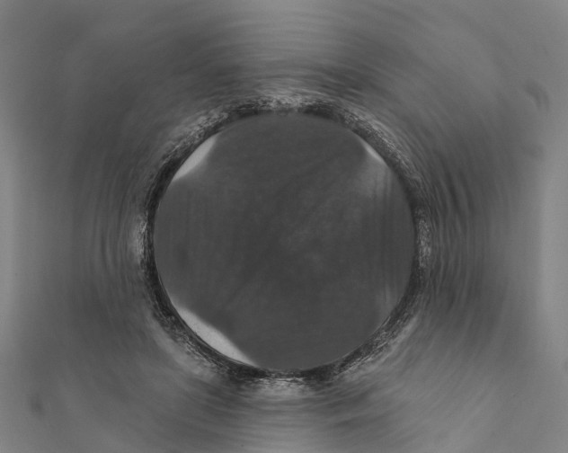 X0000111580451200908131322