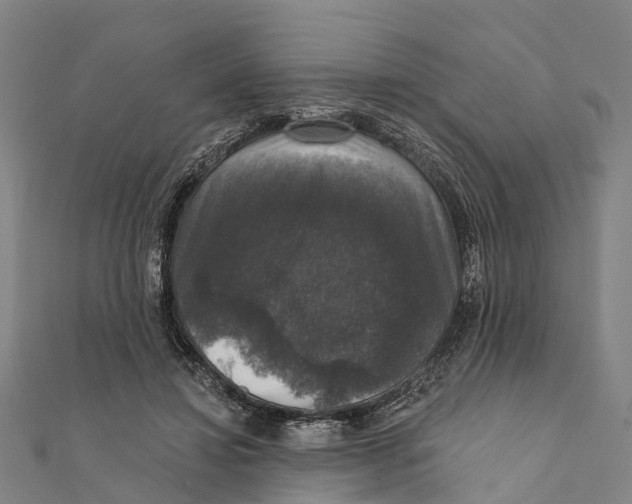 X0000111580452200908131322