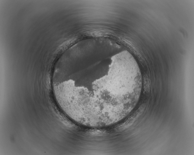 X0000111580453200908131322