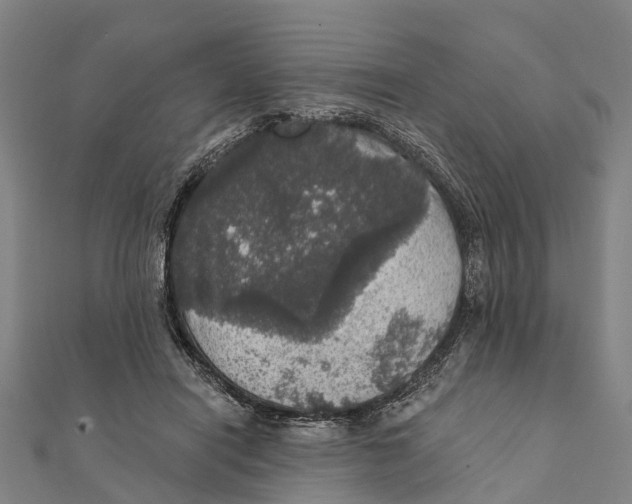 X0000111580454200908131322