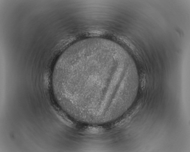 X0000111580455200908131322