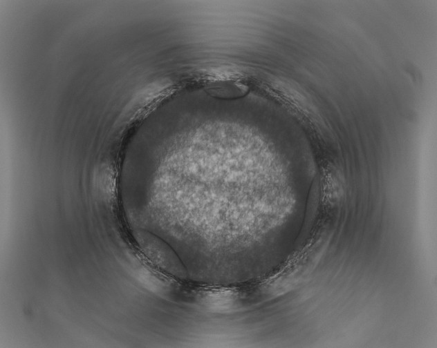 X0000111580456200908131322