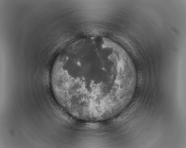 X0000111580457200908131322