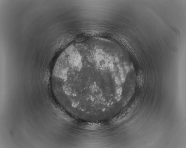 X0000111580458200908131322