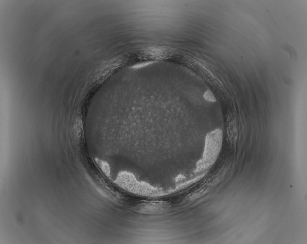 X0000111580459200908131322