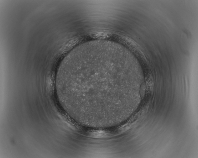 X0000111580460200908131322