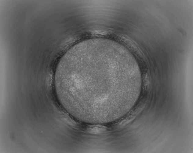 X0000111580463200908131323