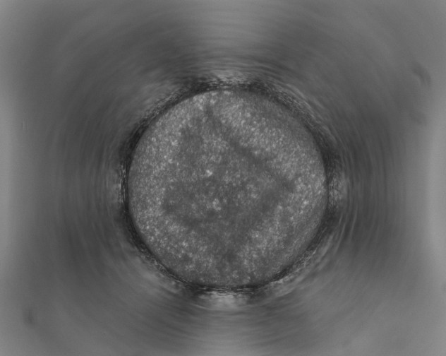 X0000111580464200908131323