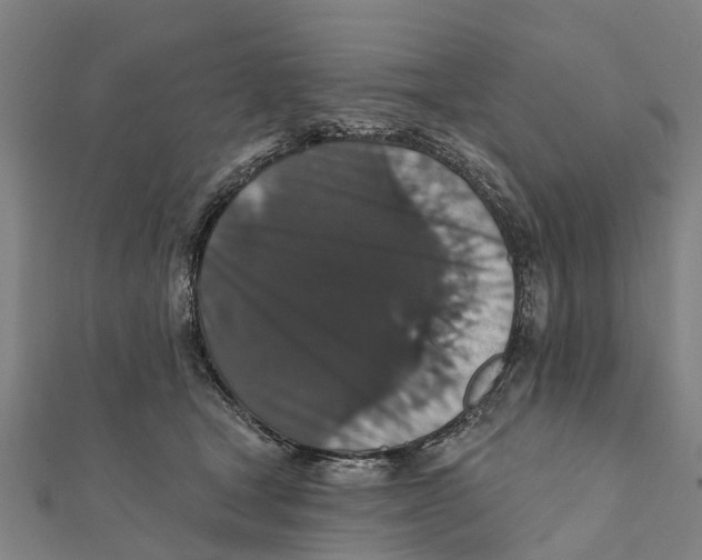 X0000111580465200908131323