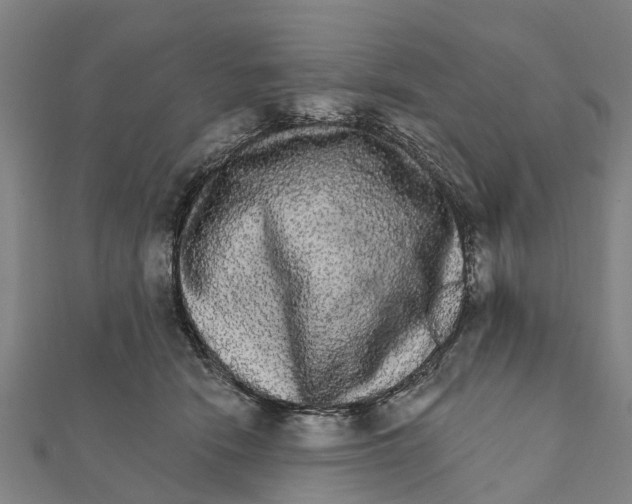 X0000111580466200908131323