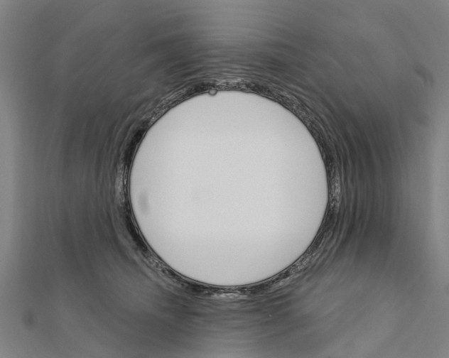 X0000111580468200908131323