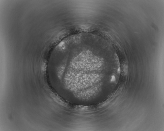 X0000111580472200908131323