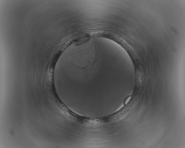 X0000111580475200908131323