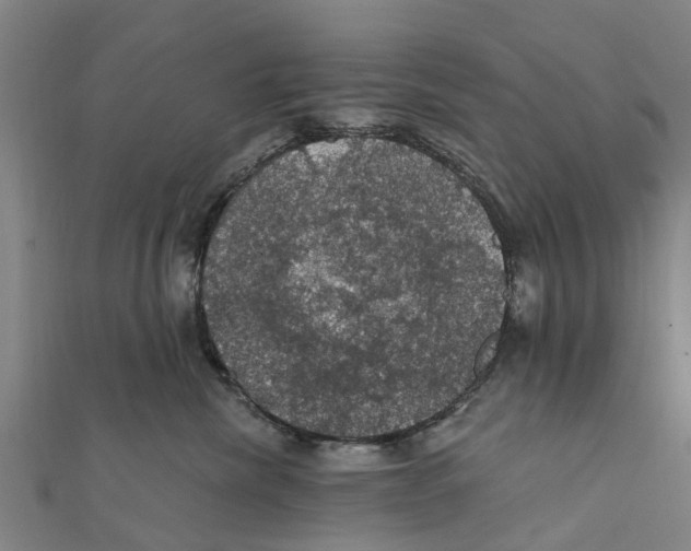 X0000111580476200908131323