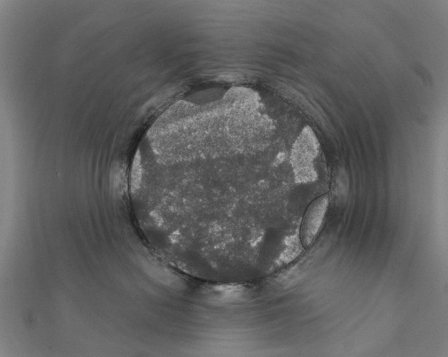 X0000111580478200908131323