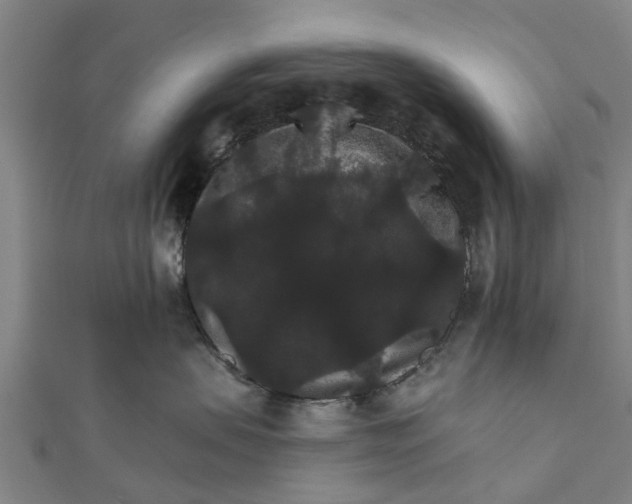 X0000111580479200908131323