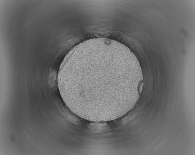 X0000111580480200908131323