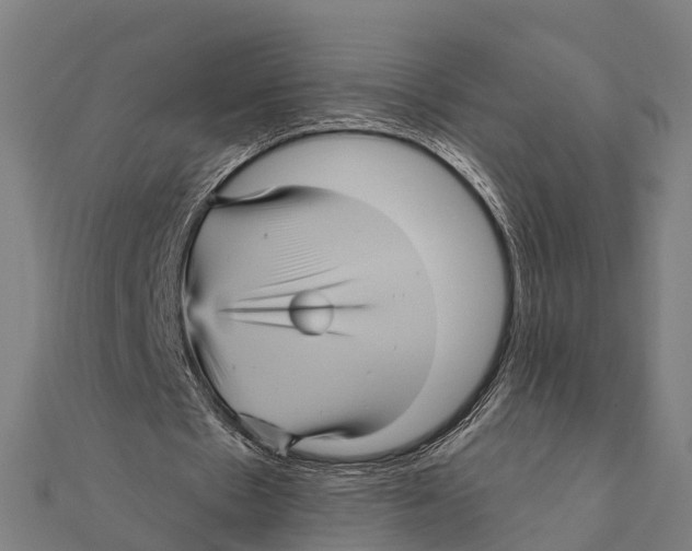 X0000111580481200908131322