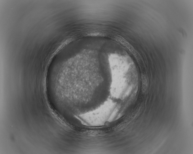 X0000111580482200908131322