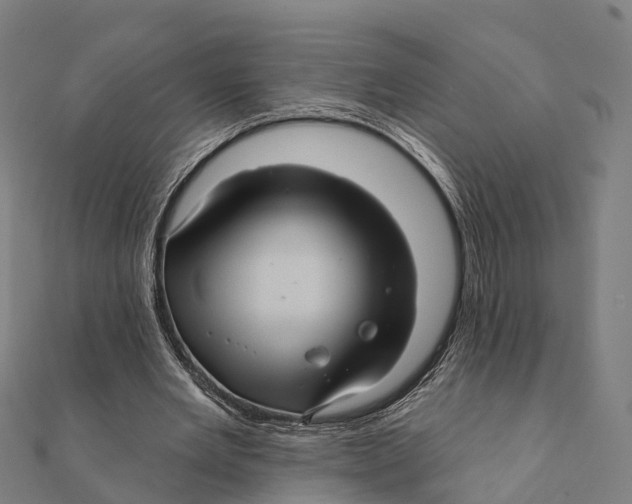 X0000111580485200908131322