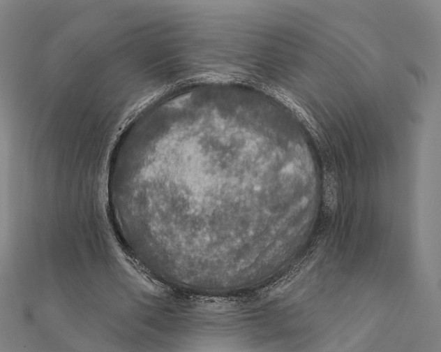 X0000111580486200908131322