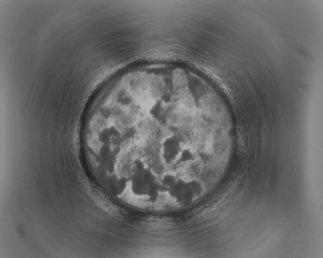 X0000111580487200908131322